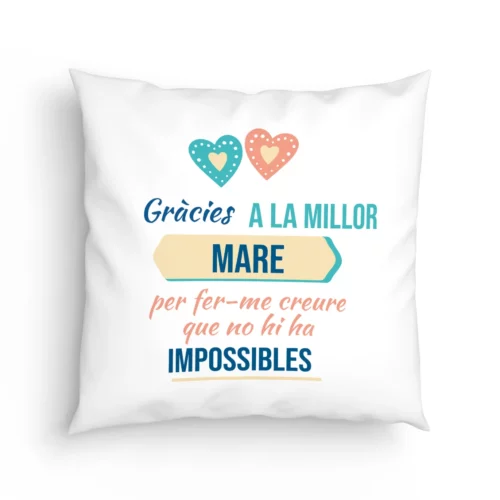Cojín Gràcies a la millor mare