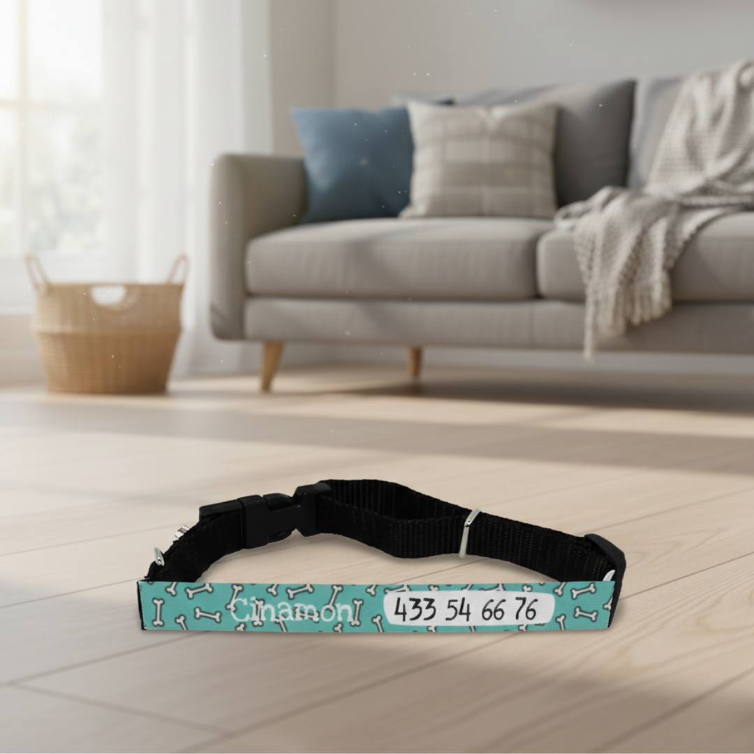 Collar perro personalizado