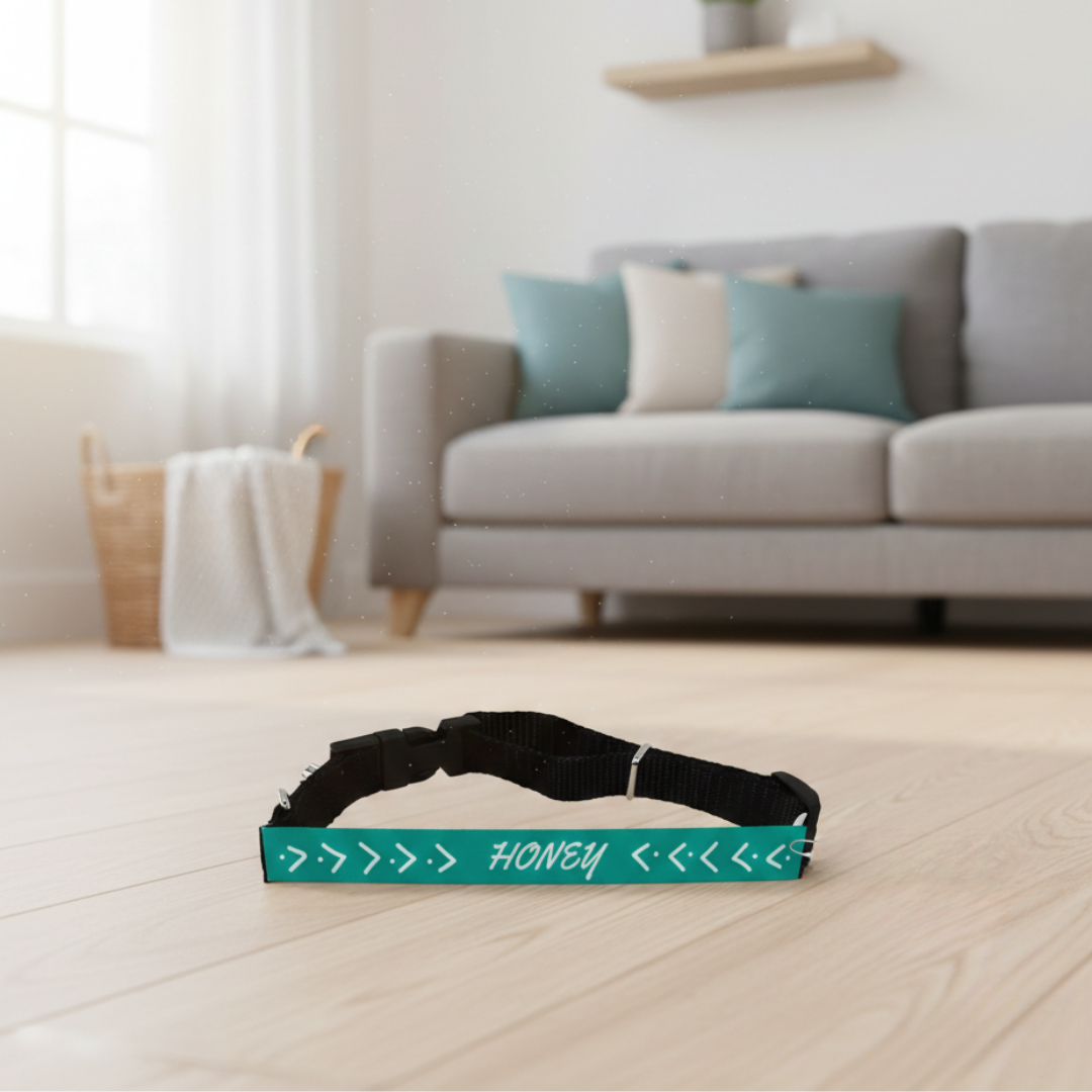 Collar perro personalizado