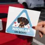 Vinilos personalizados para el coche