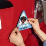 Vinilos personalizados para el coche