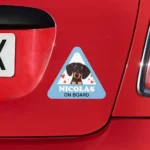 Vinilos personalizados para el coche