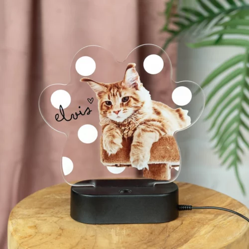 Lámparas personalizadas con base de plástico