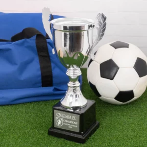 Trofeo grande personalizado de copa