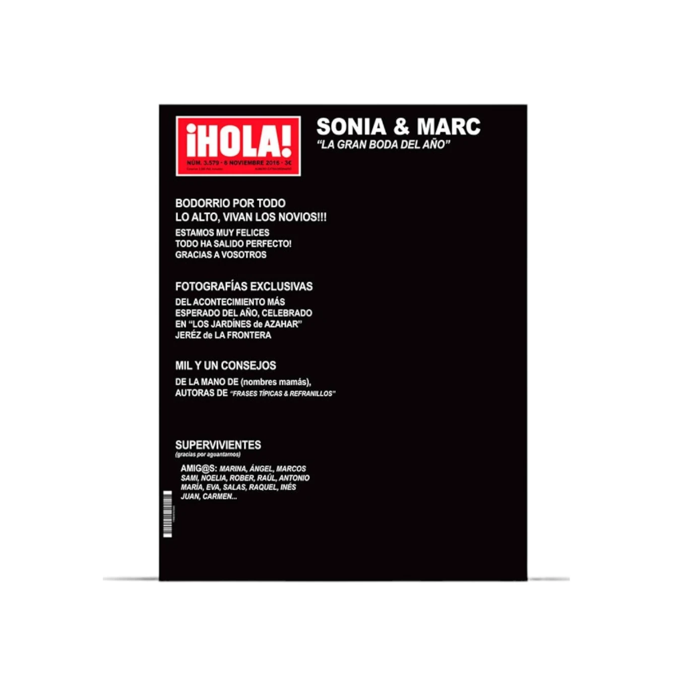 Photocall Lona Boda Hola