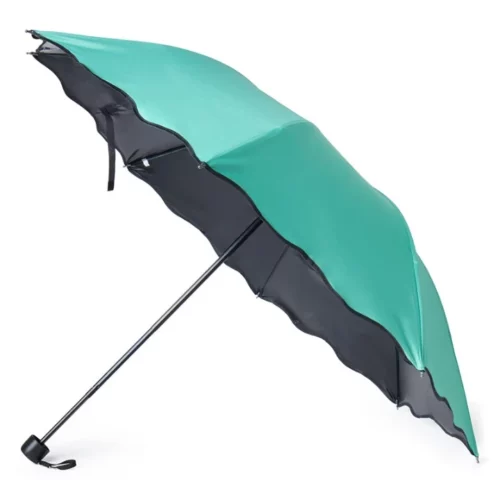 Paraguas y Parasol Femenino