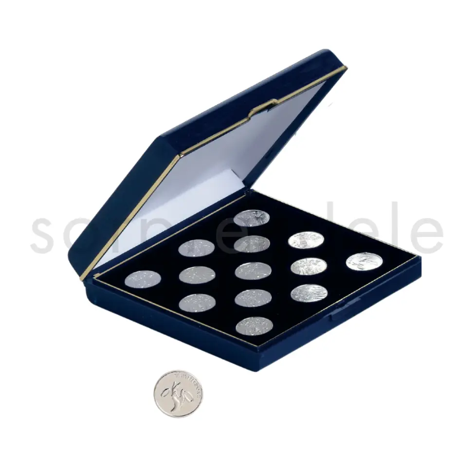 Estuche Arras Plateadas